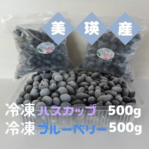 yӂ邳Ɣ[ŁzlY Ⓚ nXJbv 500g Ⓚ u[x[ 500g kC kCl kCl l nXJbv u[x[ тnXJbvt@[ Ⓚt[c ʕ 