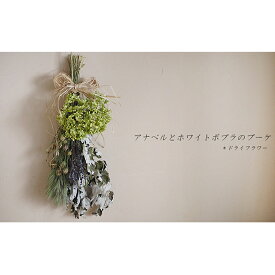 楽天市場 アナベル ドライ フラワーの通販 楽天市場 アナベル ドライ フラワーの通販