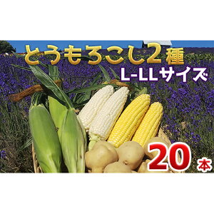 yӂ邳Ɣ[Łzy 2025N  zs\ ̃t@[ Y Ƃ낱 Hה 20{ Zbg ( Ⴊ t ) kC xǖ쒬 Ƃ낱 gERV Zbg Ⴊ WK