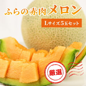 yӂ邳Ɣ[Łzy 2026N s\ zӂ ԓ I Ö LTCY 1.6kg`1.9kg 5 Zbg t@[xǖ  ߂ xǖ상 ʕ  t[c xǖ fU[g 