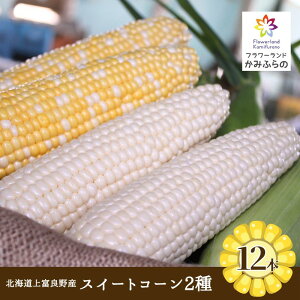 �y�ӂ邳�Ɣ[�Łz�y�ߘa7�N�Y�z �k�C�� ��x�ǖ� ���Y �X�C�[�g�R�[�� 2�� �Z�b�g �H�ה�� �o�C�J���[ 6�{ ���F 6�{ �v12�{ ��� �Ƃ����낱�� �g�E�����R�V �R�[�� �Y�n���� ��؁@���͂��F2