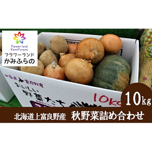 yӂ邳Ɣ[ŁzykCxǖ쒬YzH؋lߍ킹10kg ʂ˂ ܂˂ Ⴊ ʔK ڂ ؋l @͂F2025N10{`11{