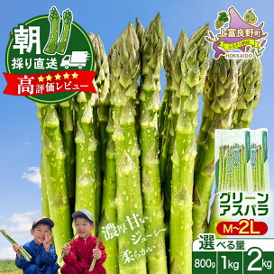 選べる 容量 アスパラガス 800g/1kg/2kg （M...