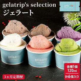 【ふるさと納税】≪3ヶ月定期便≫gelatrip's selection ジェラート6個BOX お菓子 アイス 冷凍 3カ月 3回