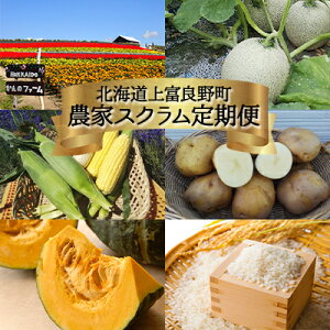 �y�ӂ邳�Ɣ[�Łz�y�ߘa7�N�Y�z��s�\�� �k�C�� ��x�ǖ� �_�ƃX�N���� �X�y�V���� ����� 4�񔭑� ������ �Ƃ����낱�� �g�E�����R�V ���Ⴊ���� �W���K�C�� ���ڂ��� �J�{�`�� ���� ���