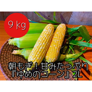 �y�ӂ邳�Ɣ[�Łz�y�ߘa7�N�Y�z�_�ƒ����I�������X�C�[�g�R�[���w��߂̃R�[���x2L 20�`22�{�i9kg�j ��� �Ƃ����낱�� �{�̖�� �@���͂��F2026�N8��16���`2026�N9��10��