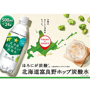 yӂ邳Ɣ[ŁzY_ 500ml × 24{ kCxǖzbvY_ O[V[ |bJTb|  kCxǖzbv ybg{g Y_ Y_ \[_ \[_ ݕ  h