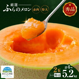 【ふるさと納税】【令和8年産】ふらの 赤肉メロン 2kg～2.6kg 2玉 厳選 秀品 特4サイズ セット めろん 果物 フルーツ デザート くだもの 旬の果物 旬のフルーツ ファーム富良野 北海道　お届け：2026年6月下旬～9月下旬まで