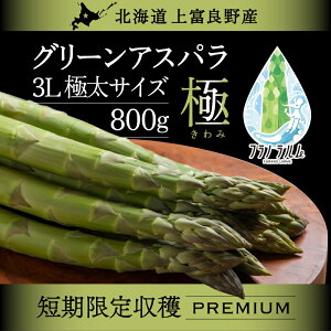 yӂ邳Ɣ[Łzy 2026N  z s\ kC xǖY AXpKX 3L TCY 800g AXp xǖ쒬 ߘa7N s\ @͂F2026N41`2026N425