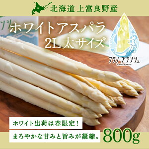 yӂ邳Ɣ[Łzs\ y 2026N  Iz kC xǖY zCgAXpKX 2L TCY 800g AXp zCg AXpKX xǖ쒬 ߘa7N  ₳ @͂F2026N4