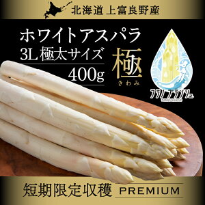 yӂ邳Ɣ[Łzs\ y 2026N  Iz kC xǖY zCgAXpKX 3L TCY 400g AXp zCg AXpKX xǖ쒬 ߘa7N  ₳ @͂F2026N4