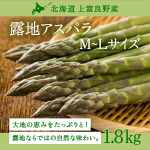 yӂ邳Ɣ[Łzs\ y 2025N  IzkC xǖY In O[ AXpKX LTCY 1.8kg AXp O[AXp xǖ쒬 ߘa7N  ₳ @͂F2026N5