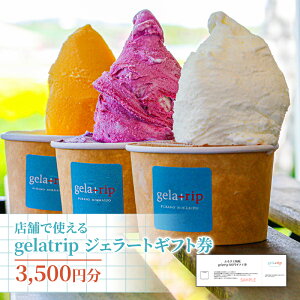 yӂ邳Ɣ[ŁzykCxǖ쒬zgelatripWF[gMtg3,500~ ACX WF[g Mtg gelatrip ~N kC xǖ쒬 蕨 `Pbg XC[c ЂXC[c ACXN