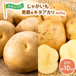 yӂ邳Ɣ[Łz݂ӂ̂Ⴊuj5kg & L^AJ5kgv  {̖ kCY kC Y Y O H |eg kCYႪ @͂F2025N10{`