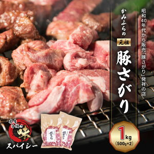yӂ邳Ɣ[Łz݂ӂ́ucv؂ XpCV[i1kgj ē o[xL[ BBQ TK xǖ쒬 kC@͂F2025N9{`2026N6܂