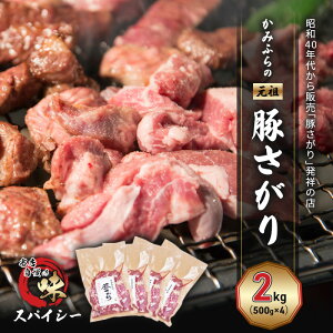 yӂ邳Ɣ[Łz݂ӂ́ucv؂ XpCV[i2kgj ē o[xL[ BBQ TK xǖ쒬 kC@͂F2025N9{`2026N6܂