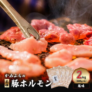 yӂ邳Ɣ[Łz݂ӂ́ucv؃z i2kgj ē o[xL[ BBQ ق  xǖ쒬 kC@͂F2025N9{`2026N6܂