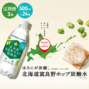 yӂ邳Ɣ[ŁzkC  3 A S3 Y_ 500ml × 24{ kCxǖzbvY_ O[V[ |bJTb|  kCxǖzbv ybg{g Y_ Y_ \[