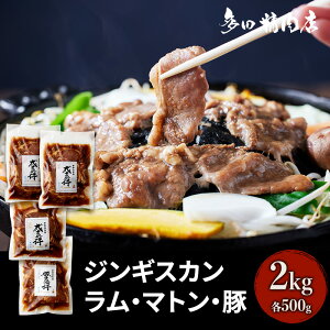 yӂ邳Ɣ[ŁzkC WMXJ Hה Zbg 3 t 2kg 500g ×4 r  }g ؓ  ē BBQ Lv Ԍ xǖ쒬