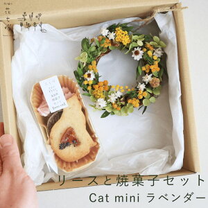 yӂ邳Ɣ[Łzxǖ Ԏj [XƏĉَqZbg Cat mini x_[ CG[  hCt[