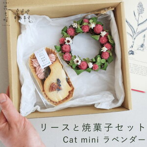 yӂ邳Ɣ[Łzxǖ Ԏj [XƏĉَqZbg Cat mini x_[ sN  hCt[