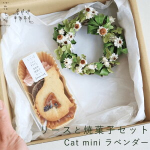 yӂ邳Ɣ[Łzxǖ Ԏj [XƏĉَqZbg Cat mini x_[ zCg  hCt[