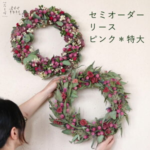 yӂ邳Ɣ[Łzxǖ Ԏj Z~I[_[[X   sN t[  hCt[