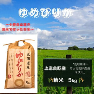 yӂ邳Ɣ[ŁzkC xǖYu ߂҂肩 vʍ͔|  5kgiߘa7NYj  pi CX  Hו XgbN i kCY ɂ ٓ@͂F2025N10{`202