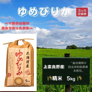 yӂ邳Ɣ[ŁzkC xǖYu ߂҂肩 vʍ͔|  5kgiߘa7NYjy S3z  pi CX  Hו XgbN i kCY ɂ ٓ@͂F2
