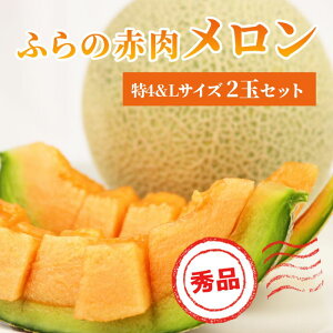 yӂ邳Ɣ[Łzy 2026N s\ z ӂ ԓ 4 2kg`2.6kg LTCY 1.6kg`1.9kg e1(v2) I Gi 4TCY Zbg ߂ t[c fU[g  {̉ʕ {̃t