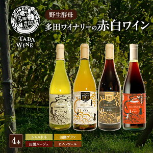 yӂ邳Ɣ[Łzy쐶yz݂ӂ cCi[ ԔC v4{@C ԃC C ݔ Zbg Ԃǂ  Ci[  kC xǖ쒬