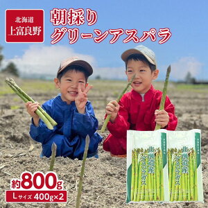 �y�ӂ邳�Ɣ[�Łz���ʌ���I��s�\�� �y�ߘa8�N�Y�z �A�X�p���K�X ���_�� �� ���I �O���[�� �A�X�p�� 800g L �T�C�Y ���_�� �A�X�p�� �����ς� ��� �k�C�� ��x�ǖ쒬�@���͂��F2026�N5����