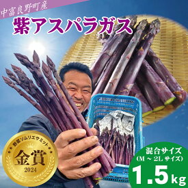 【ふるさと納税】【2026年発送】【中富良野町寺坂農園】紫アスパラガス（1.5kg）