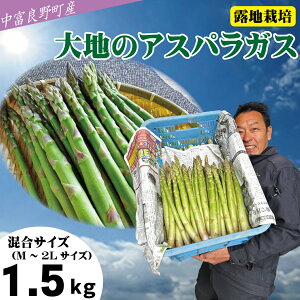 【ふるさと納税】【2026年発送】【中富良野町寺坂農園】大地のアスパラガス(1.5kg)