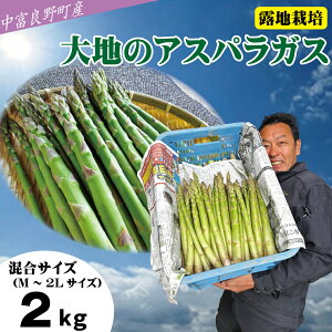 【ふるさと納税】【2025年発送】【中富良野町寺坂農園】大地のアスパラガス(2kg)