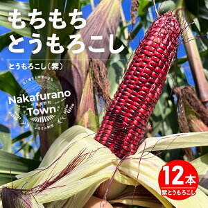 yӂ邳Ɣ[Łzy2026NzgERV@12{@xǖY