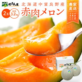 【ふるさと納税】【2026年発送】中富良野　赤肉メロン2玉（計2.6kg以上/計3.2kg以上）