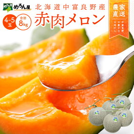 【ふるさと納税】【2026年発送】中富良野赤肉メロン 4～5玉(8kg以上)