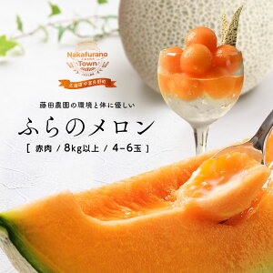 yӂ邳Ɣ[Łzy2026Nzc_ӂ̃iԓj8kgȏ