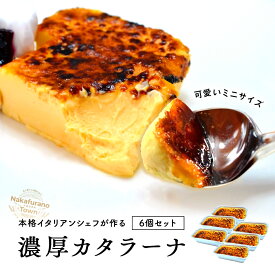 【ふるさと納税】カタラーナ　ミニセット　プレーン6個