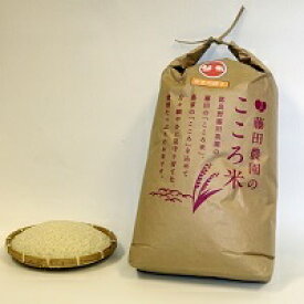 【ふるさと納税】【2024年度米】お米ななつぼし 10kg（精米）