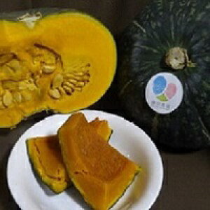 yӂ邳Ɣ[Łzy2026Nzxǖ쒬YJ{`@10kgȏ