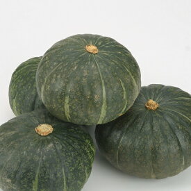 【ふるさと納税】かぼちゃ（粉質系）5～6玉　10kg