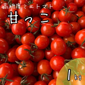 ミニトマト 1kgの人気商品 通販 価格比較 価格 Com
