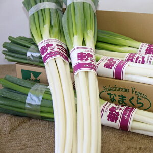 yӂ邳Ɣ[Łz˂@6kg