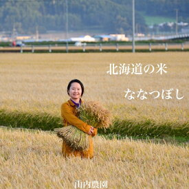【ふるさと納税】【2024年度米】山内農園　ななつぼし　10kg【無洗米】