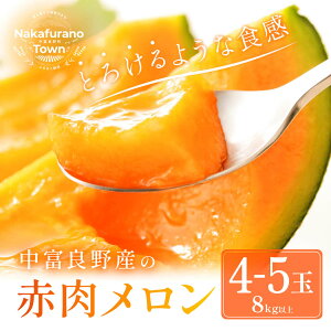 yӂ邳Ɣ[Łzy2026Nzxǖԓ 4`5(8kgȏ)