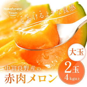 yӂ邳Ɣ[Łzy2026Nzxǖԓ2ʁiv4kgȏ)