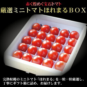 yӂ邳Ɣ[Łzy2025Nzyxǖ쒬zI~jg}gق܂BOX