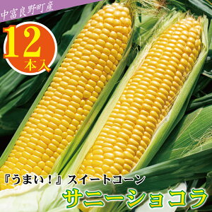 【ふるさと納税】【中富良野町 寺坂農園】とうもろこし『サニーショコラ』(12本入り)